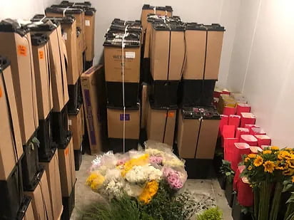 Grandes Ahorros en Instalación y Operación Grandes Ahorros en Instalación y Operación