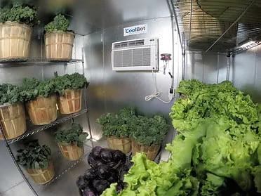 Cool Bot en la Agricultura Cool Bot en la Agricultura