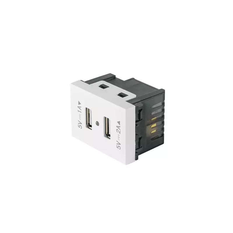 Toma con 2 puertos USB, 1.5 módulos, línea Española, blanco - C2USB-EB / 47057 Toma con 2 puertos USB, 1.5 módulos, línea Española, blanco - C2USB-EB / 47057