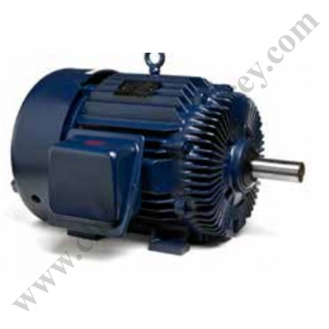 Motor Marathon 75 Hp, 900 Rpm, 3 Fases, 97 Amps, 460 V, Armazon 444T, Base Rigida, 8 Polos - 444Ttfs8106