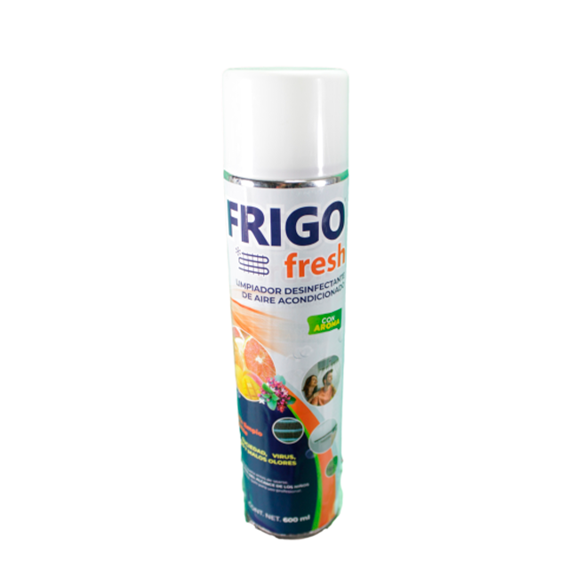 frigo-safe-aerosol-600-ml-cl-fgs-a600